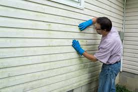 Best Siding Painting and Refinishing  in Garden City Park, NY